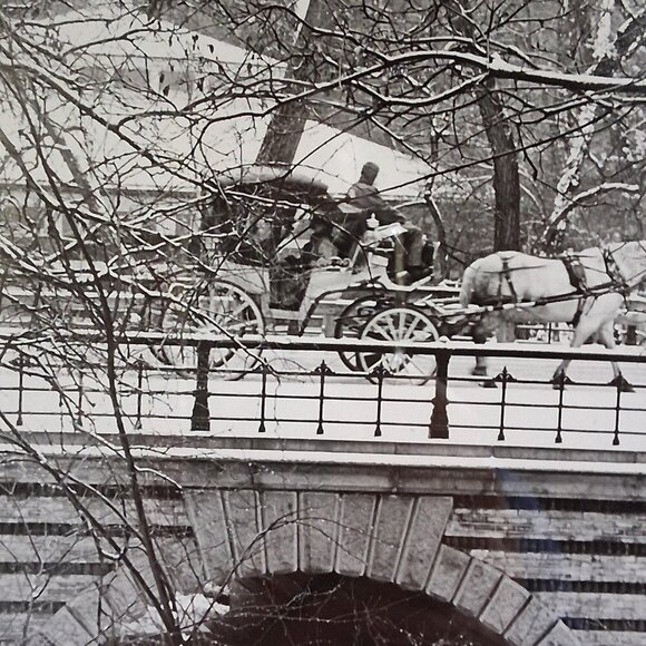 🖤 Signed & Framed Robbie Pope Photograph Black & White Central Park Winter - Picture 7 of 8